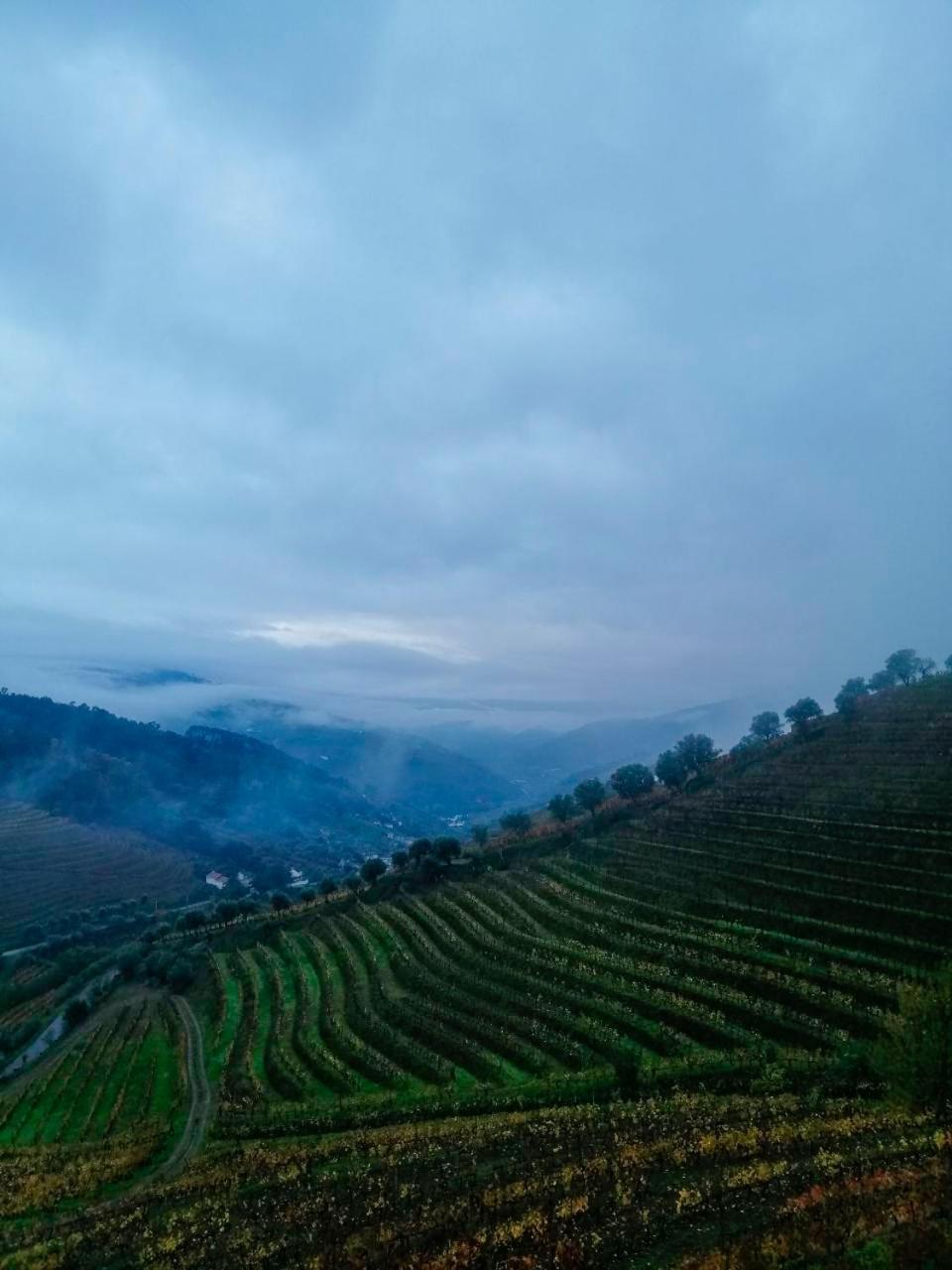 Quinta De Baixo Βίλα Vila Marim Εξωτερικό φωτογραφία