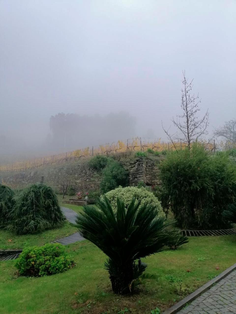 Quinta De Baixo Βίλα Vila Marim Εξωτερικό φωτογραφία