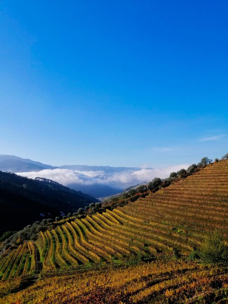 Quinta De Baixo Βίλα Vila Marim Εξωτερικό φωτογραφία