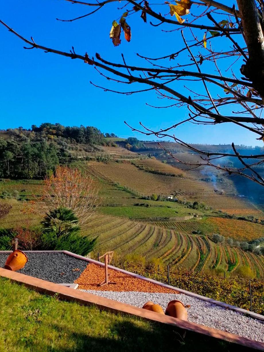 Quinta De Baixo Βίλα Vila Marim Εξωτερικό φωτογραφία