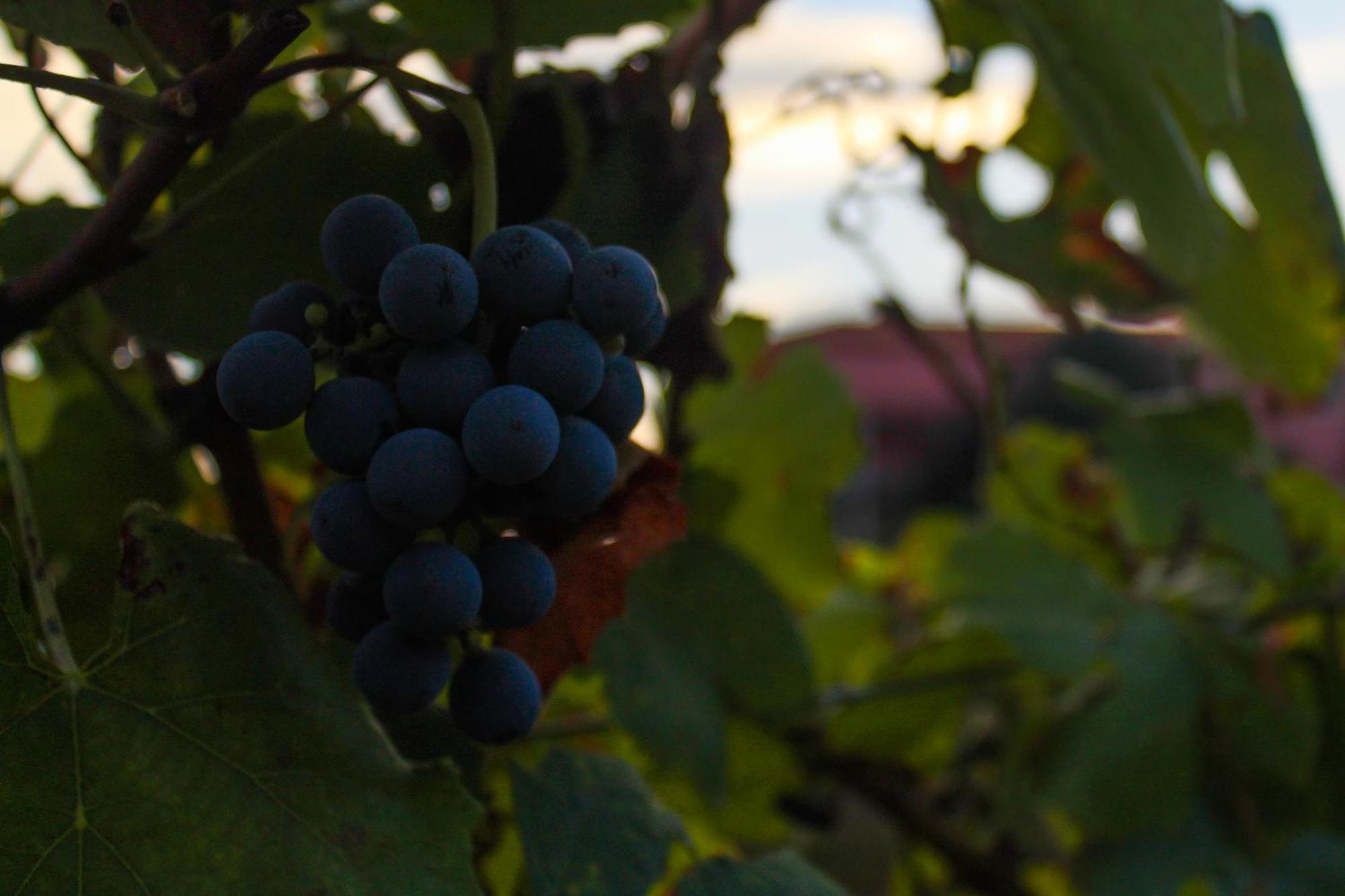 Quinta De Baixo Βίλα Vila Marim Εξωτερικό φωτογραφία
