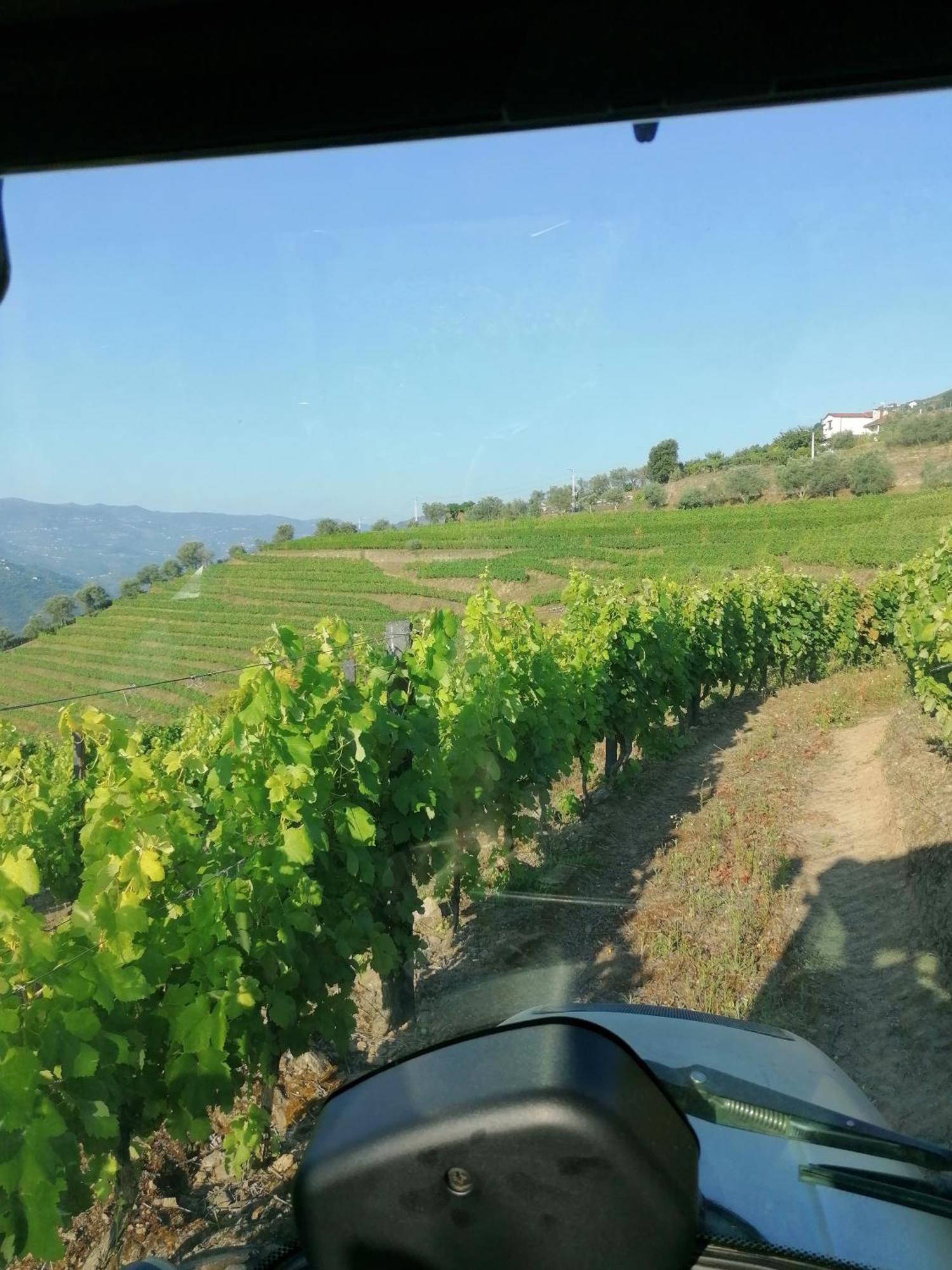 Quinta De Baixo Βίλα Vila Marim Εξωτερικό φωτογραφία