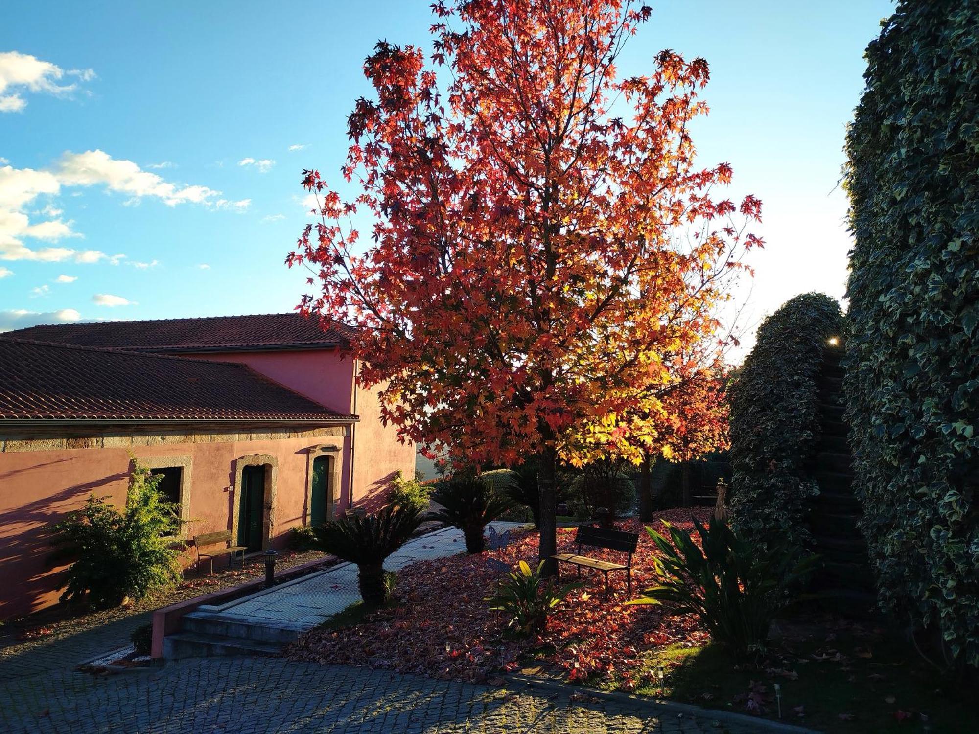 Quinta De Baixo Βίλα Vila Marim Εξωτερικό φωτογραφία
